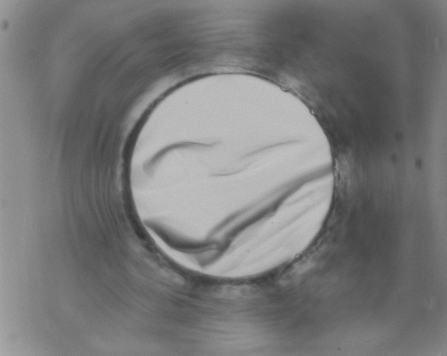 X0000071820292200607290024