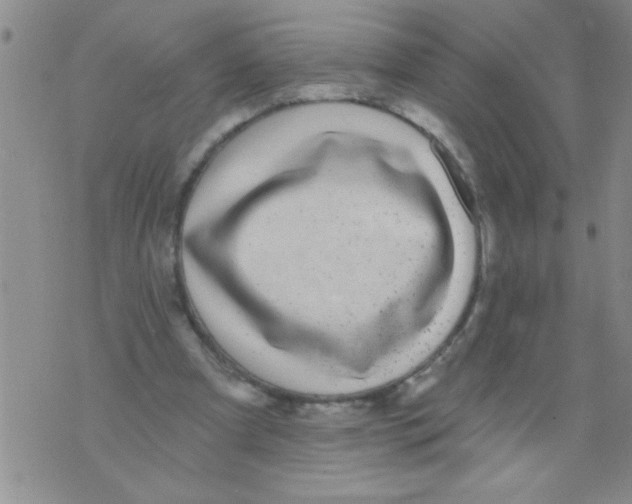 X0000071820297200607290024