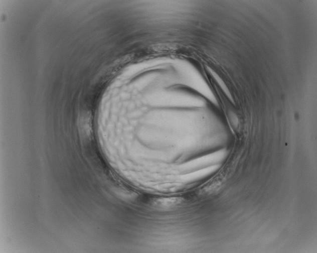 X0000071820323200607290024