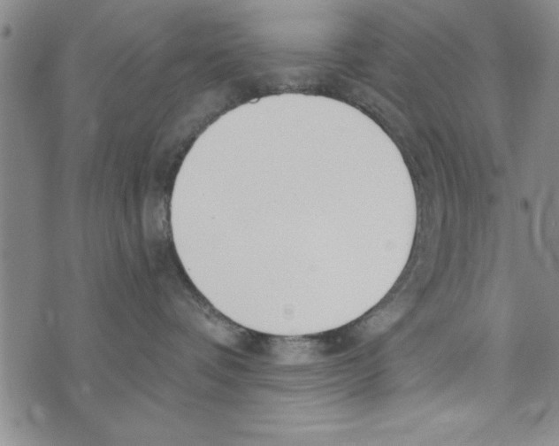 X0000071820336200607290023
