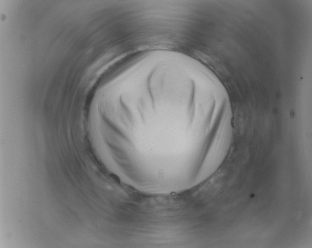 X0000071820338200607290023