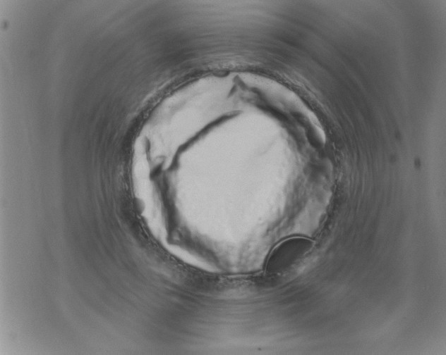 X0000071820355200607290023