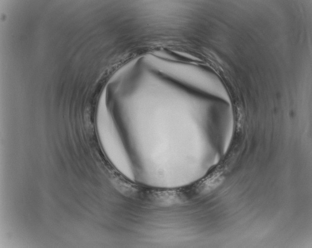 X0000071820377200607290023