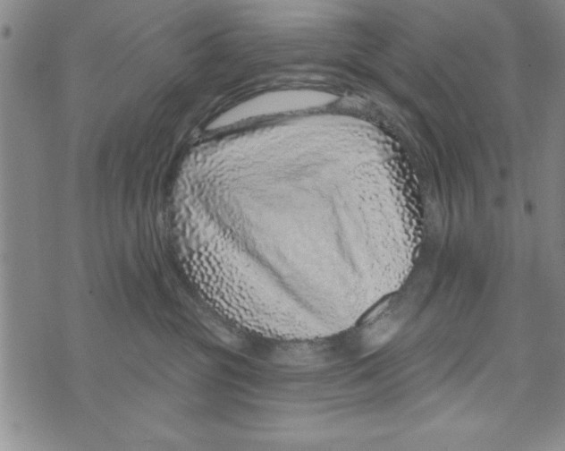 X0000071820381200607290023