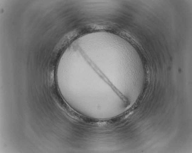X0000071820406200607290022
