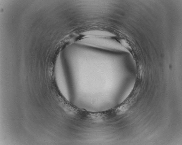 X0000071820417200607290022