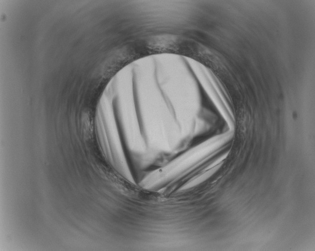 X0000071820420200607290022