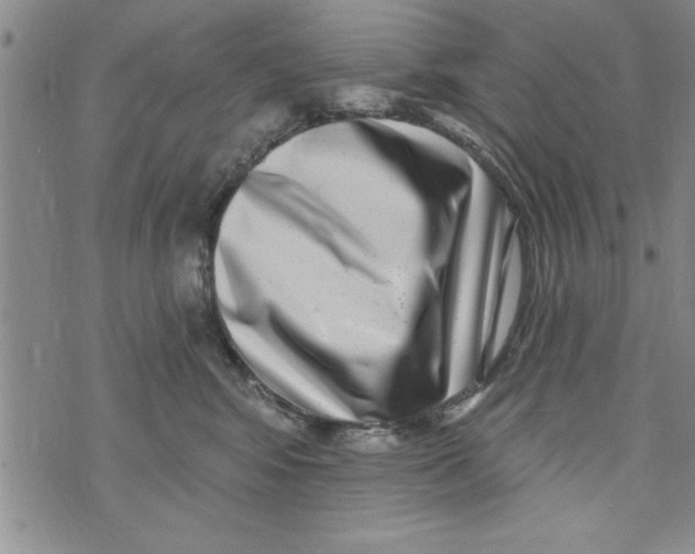 X0000071820424200607290022
