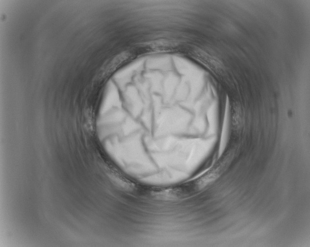 X0000071820430200607290022