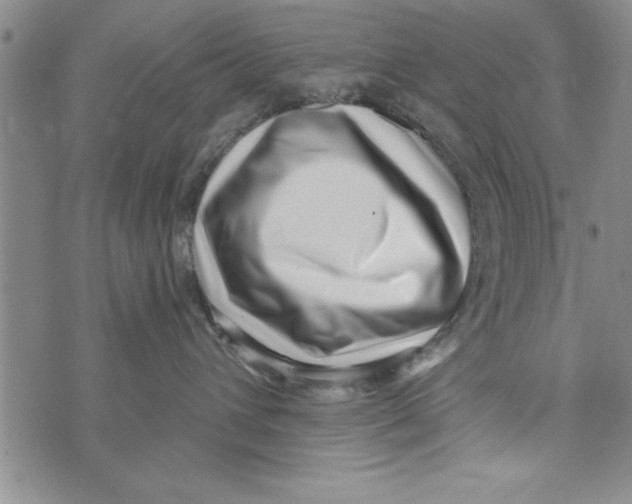 X0000071820432200607290022