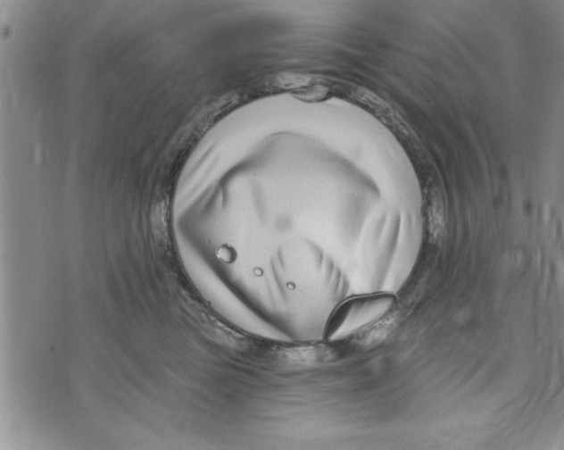 X0000071820473200607290022