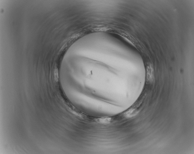 X0000071820474200607290022