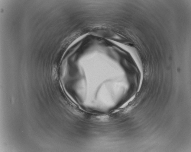 X0000071820478200607290022