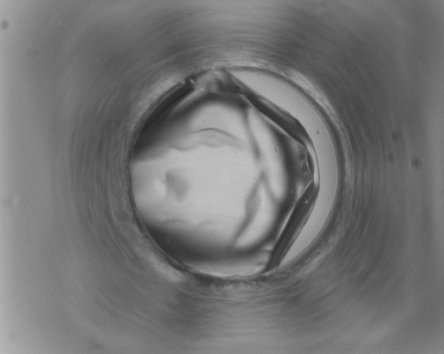 X0000071820481200607290021