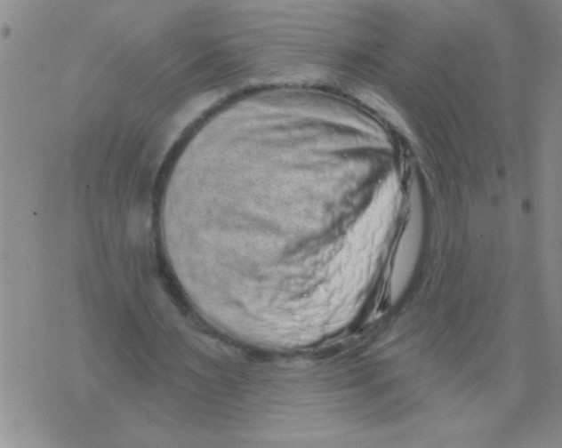 X0000071820483200607290021
