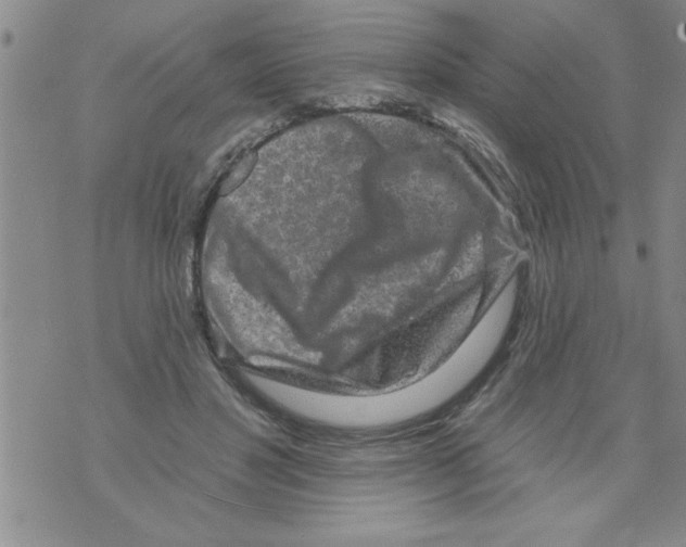 X0000071820501200607290021