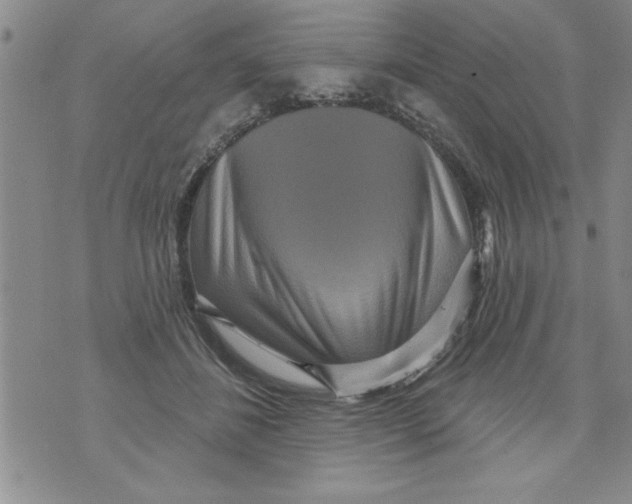 X0000071820508200607290021