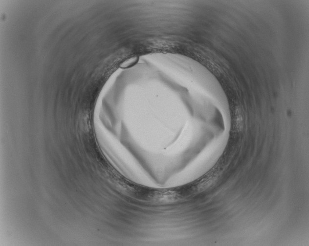 X0000071820514200607290020