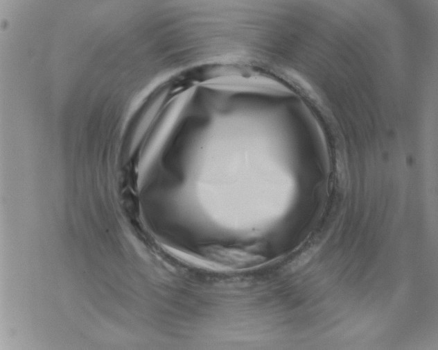X0000071820532200607290020