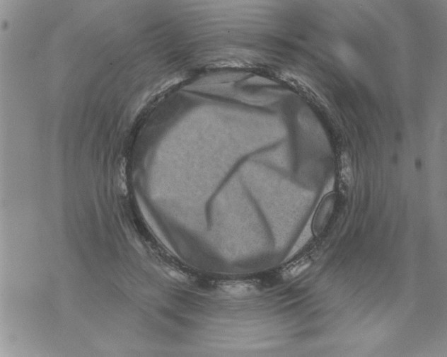 X0000071820547200607290020