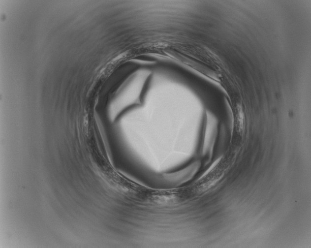 X0000071820552200607290020