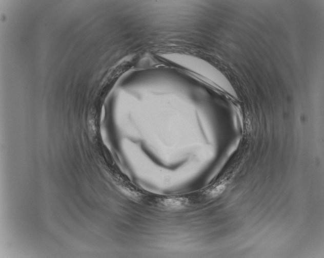 X0000071820566200607290020