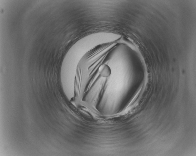 X0000071820568200607290020
