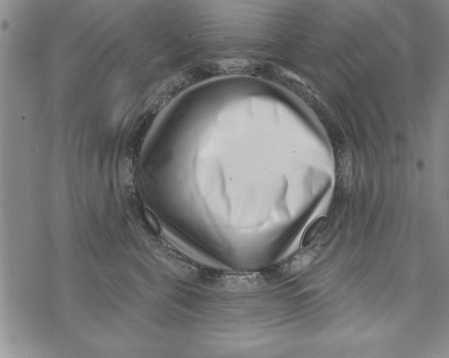 X0000071820571200607290020