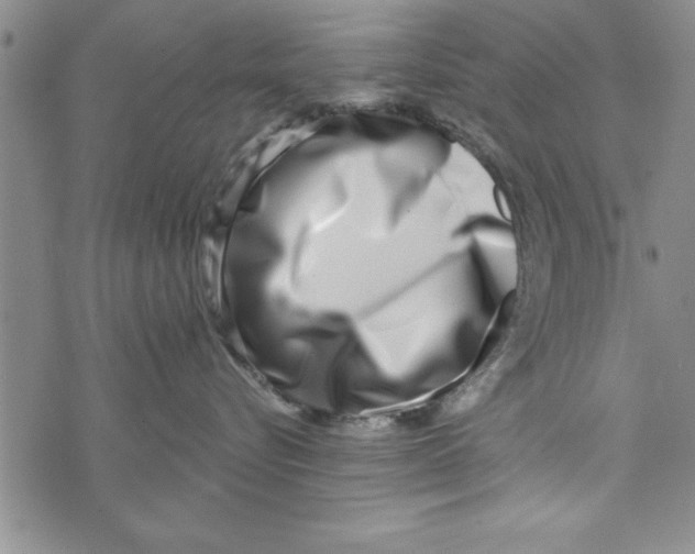 X0000071820576200607290020