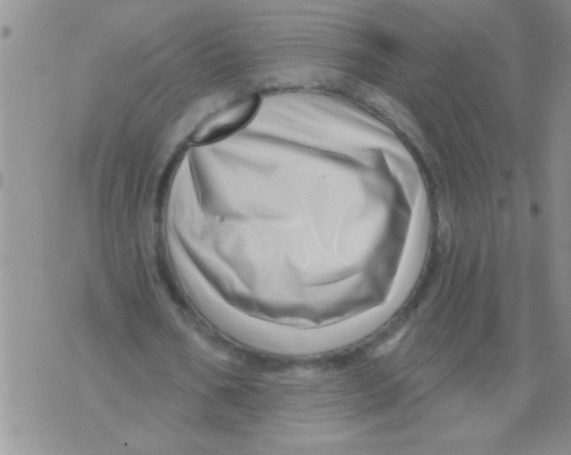 X0000071820578200607290019