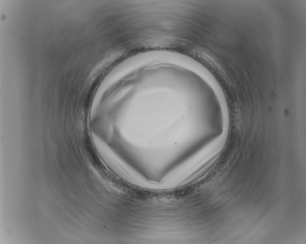 X0000071820586200607290019