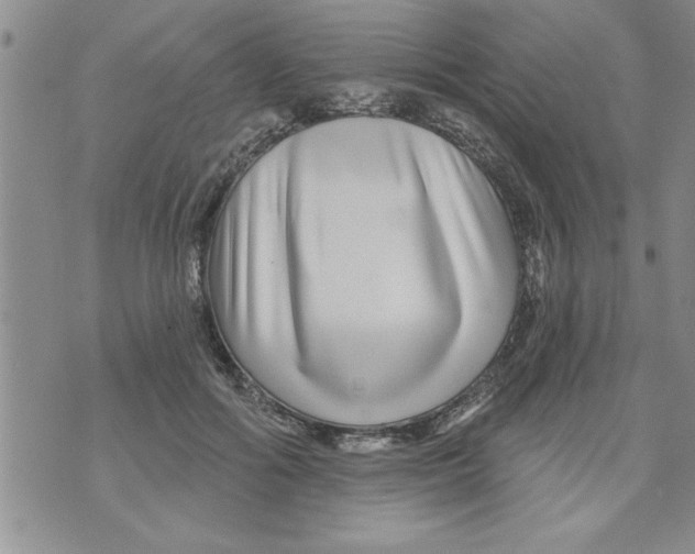 X0000071820602200607290019