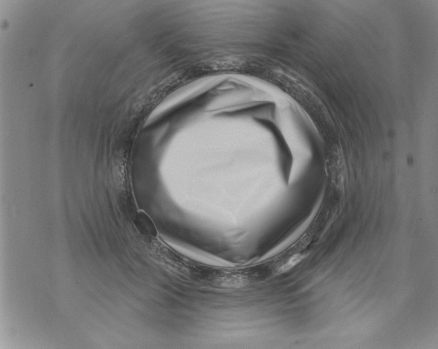 X0000071820604200607290019
