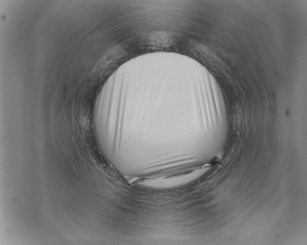 X0000071820608200607290019