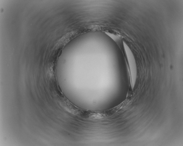 X0000071820611200607290019