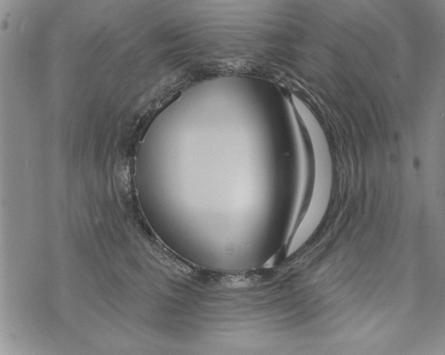 X0000071820613200607290019