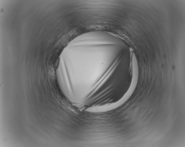 X0000071820617200607290019