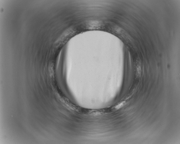 X0000071820620200607290019