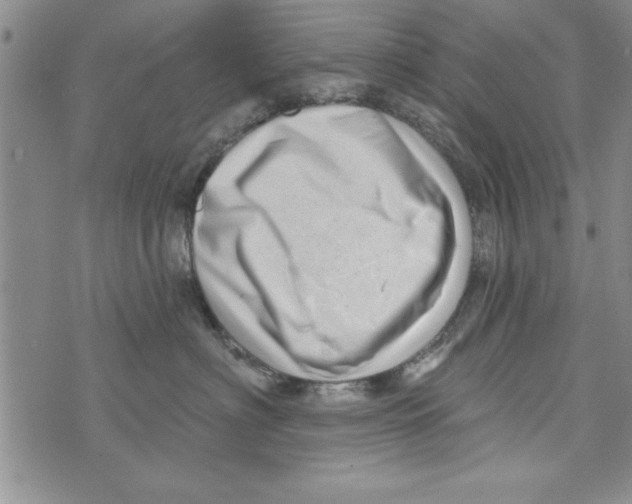 X0000071820622200607290019