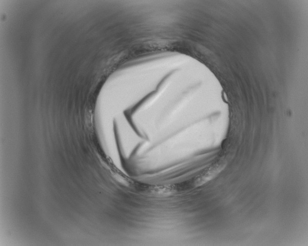 X0000071820624200607290019