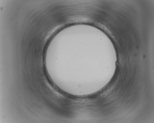 X0000071820629200607290018
