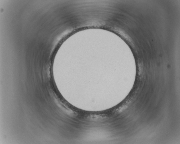X0000071820632200607290018