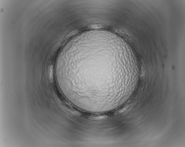 X0000071820646200607290018
