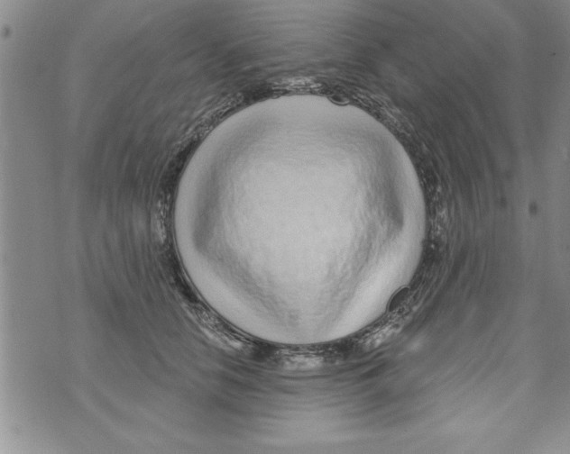 X0000071820658200607290018