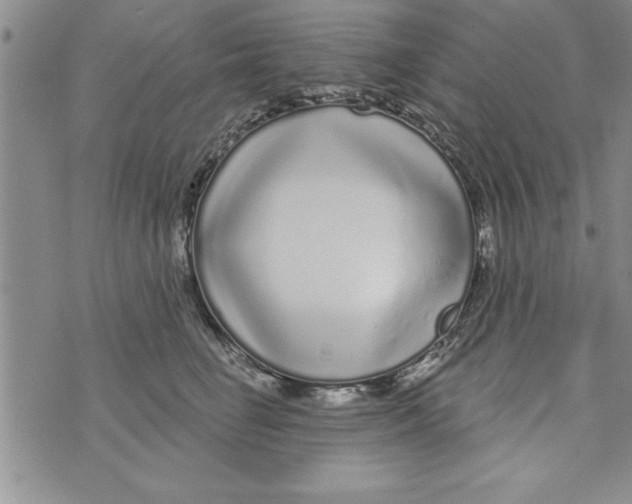 X0000071820662200607290019