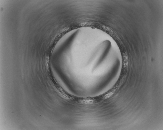 X0000071820664200607290019