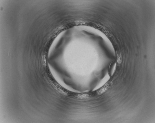 X0000071820666200607290019