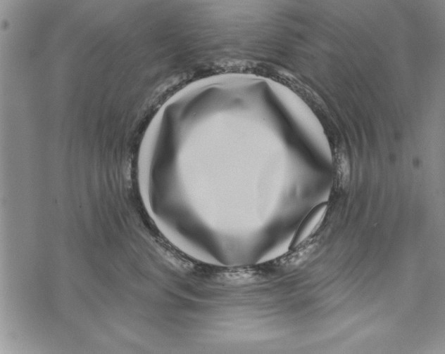 X0000071820668200607290019