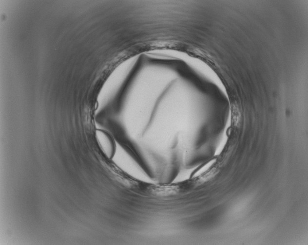 X0000071820670200607290019