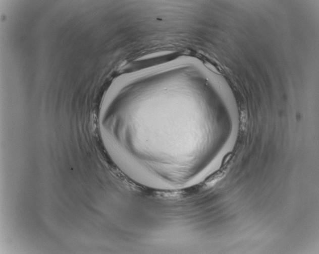 X0000071820671200607290019